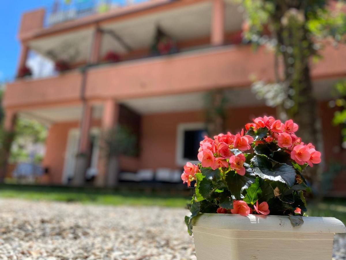 Apartments Tajana Novigrad  Екстер'єр фото
