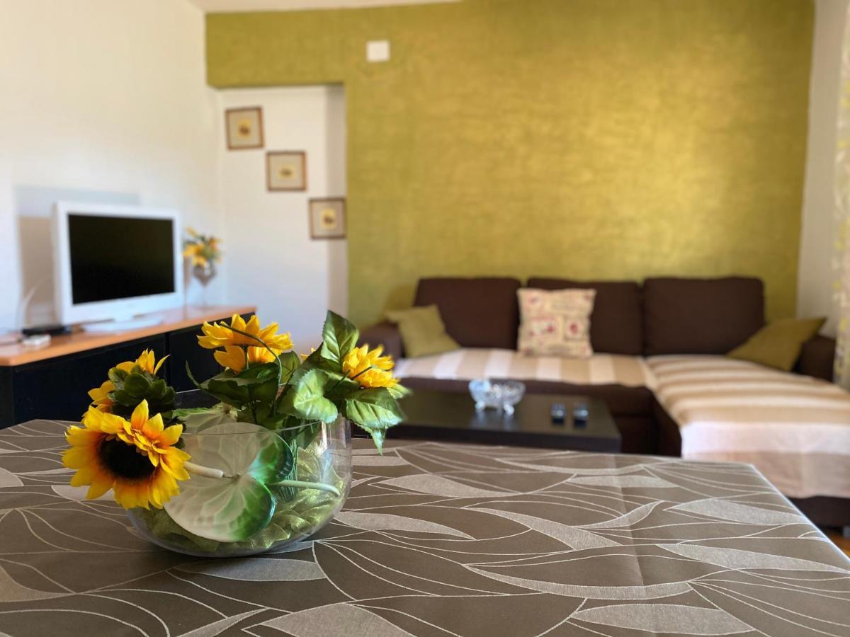 Apartments Tajana Novigrad  Екстер'єр фото