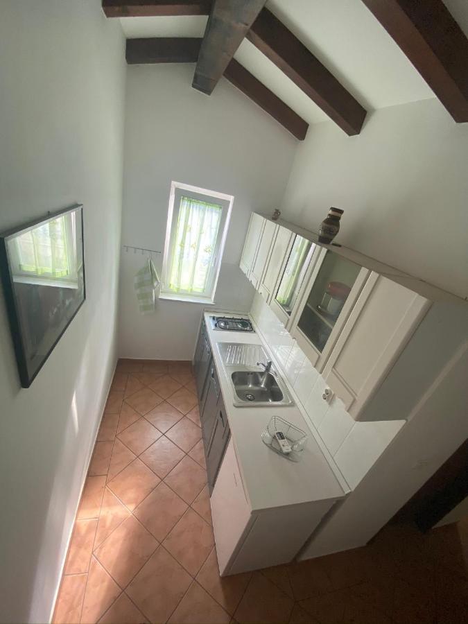 Apartments Tajana Novigrad  Екстер'єр фото