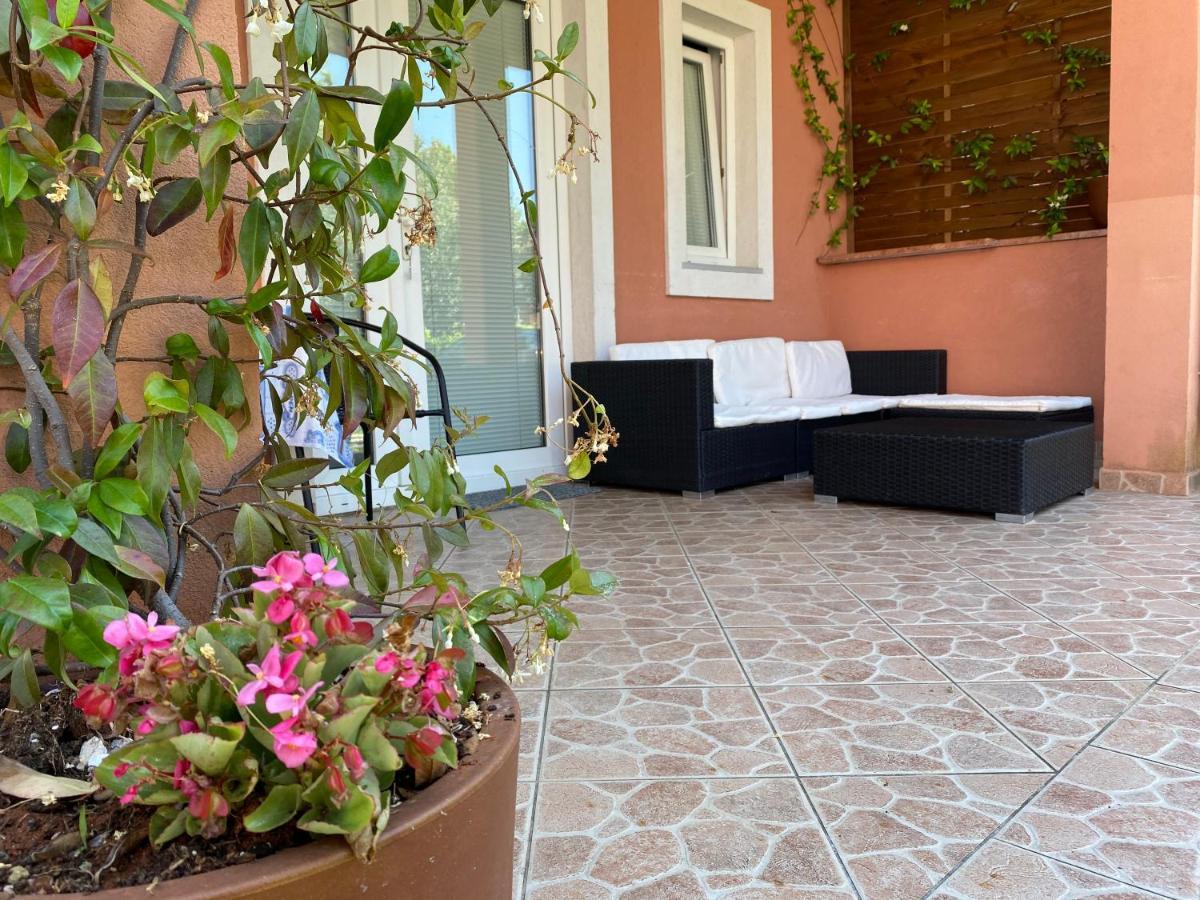 Apartments Tajana Novigrad  Екстер'єр фото