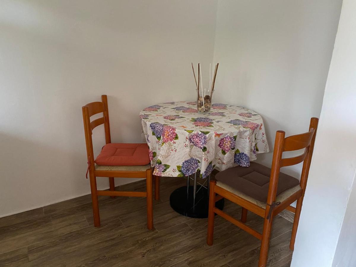 Apartments Tajana Novigrad  Екстер'єр фото