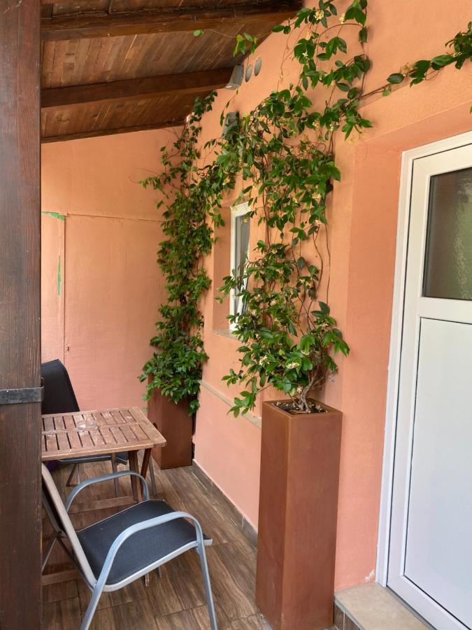 Apartments Tajana Novigrad  Екстер'єр фото