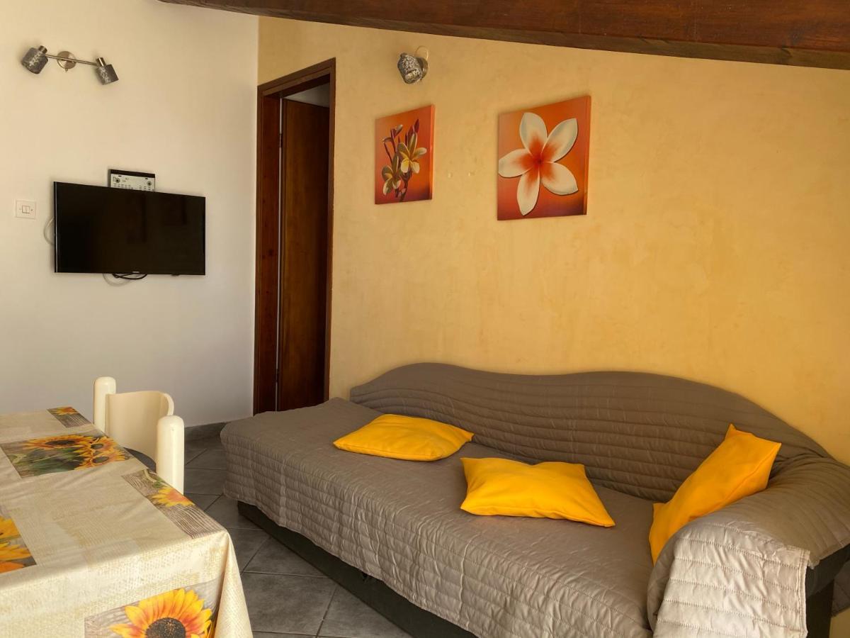 Apartments Tajana Novigrad  Екстер'єр фото