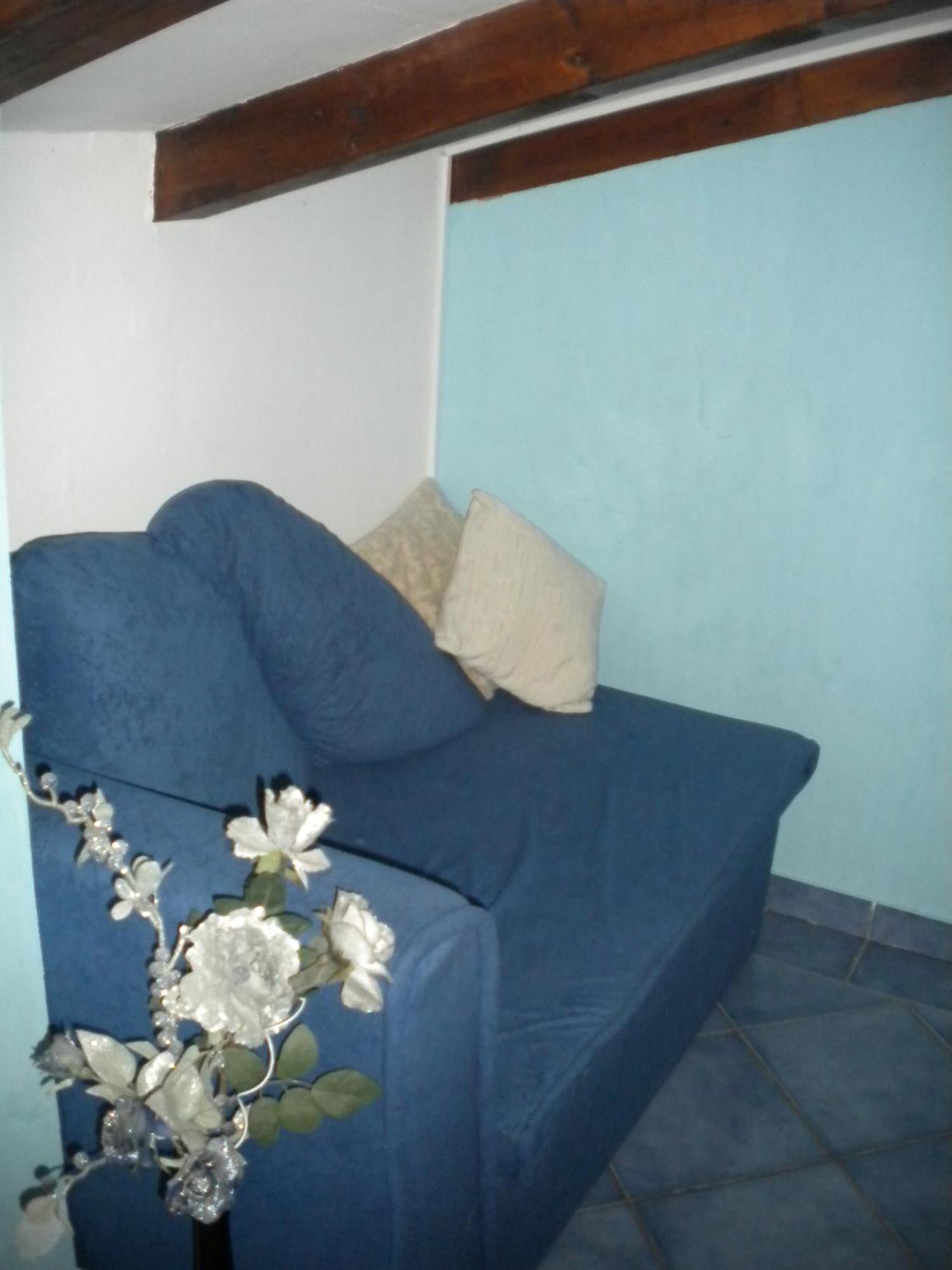 Apartments Tajana Novigrad  Номер фото