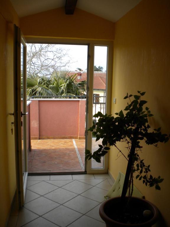 Apartments Tajana Novigrad  Номер фото