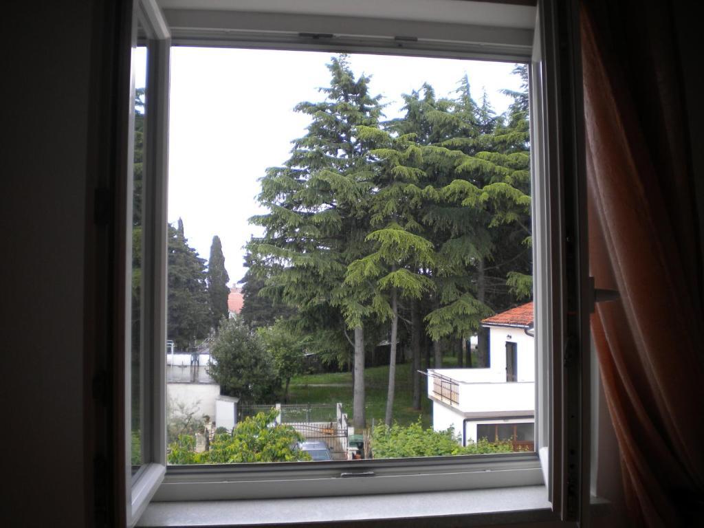 Apartments Tajana Novigrad  Номер фото