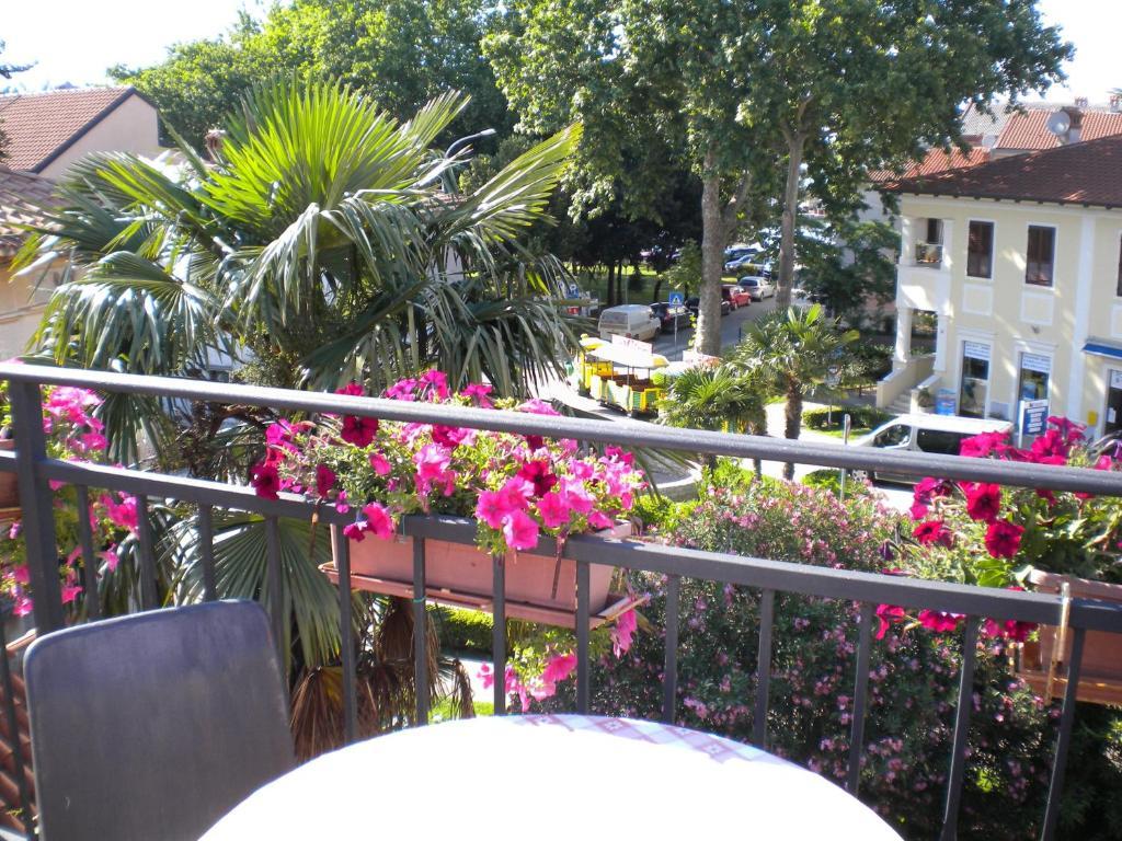 Apartments Tajana Novigrad  Номер фото